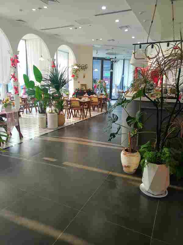 大家看这个是饭店还是影楼啊？好像花园一样